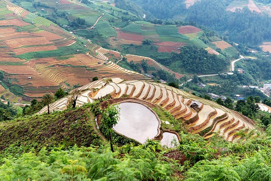 Pedaling for the Planet: The Ultimate Eco-Friendly Cycling Tour in Mu Cang Chai